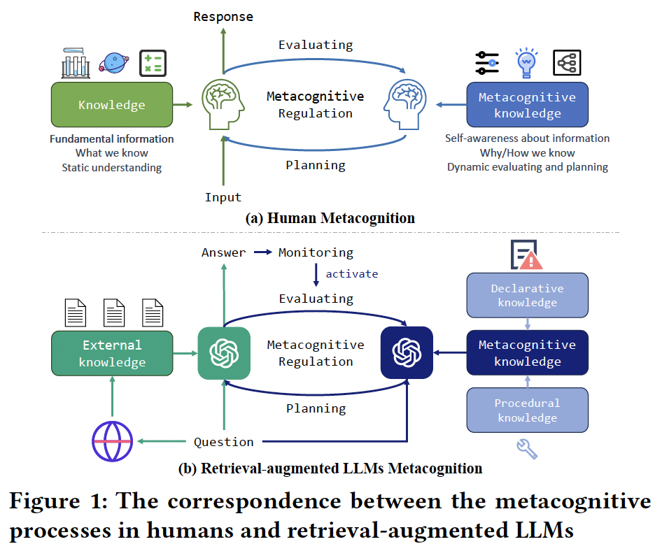 A diagram of a metacognition